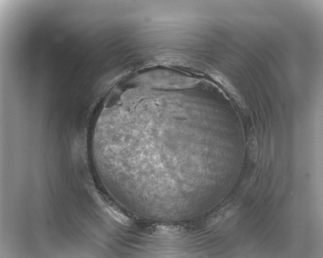 X0000068820442200605081149