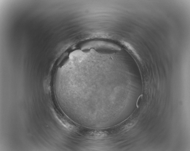 X0000068820443200605081149