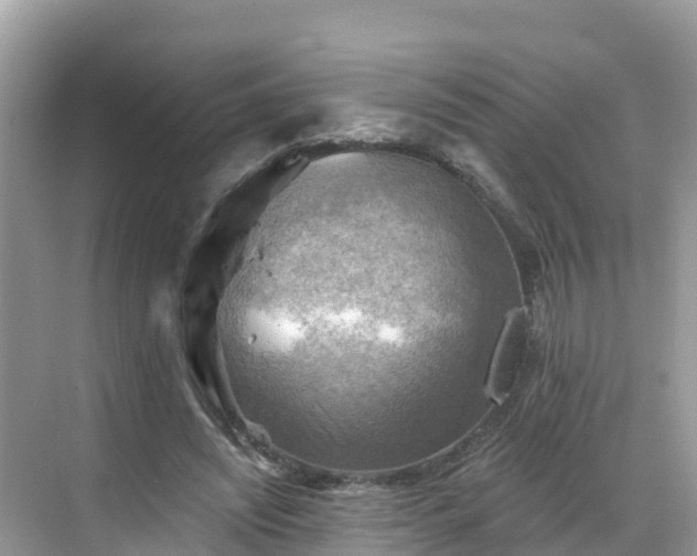 X0000068820444200605081149