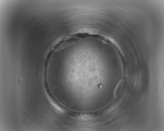 X0000068820445200605081149