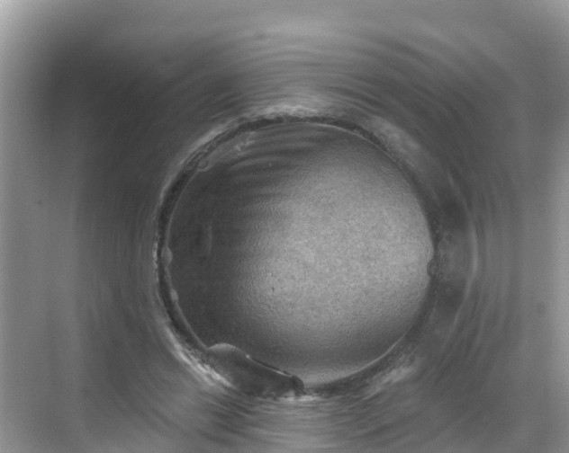 X0000068820446200605081149