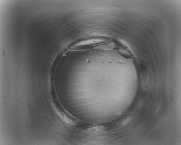 X0000068820447200605081149