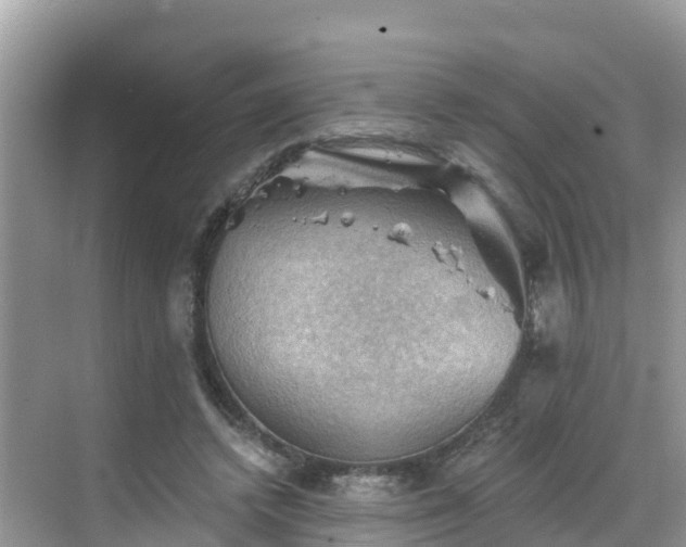 X0000068820448200605081149