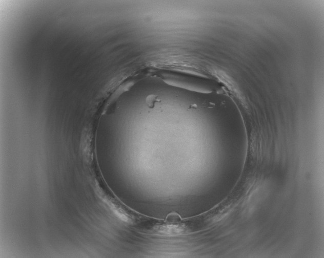 X0000068820449200605081149