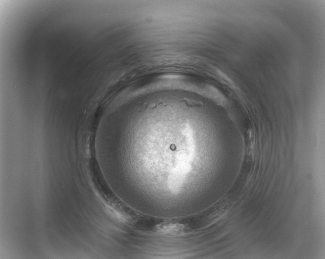 X0000068820452200605081150