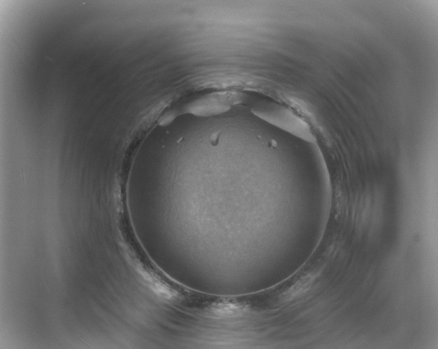 X0000068820453200605081150