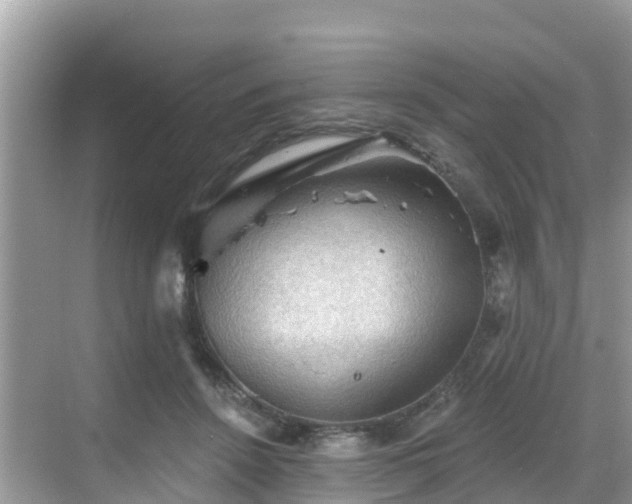 X0000068820456200605081150