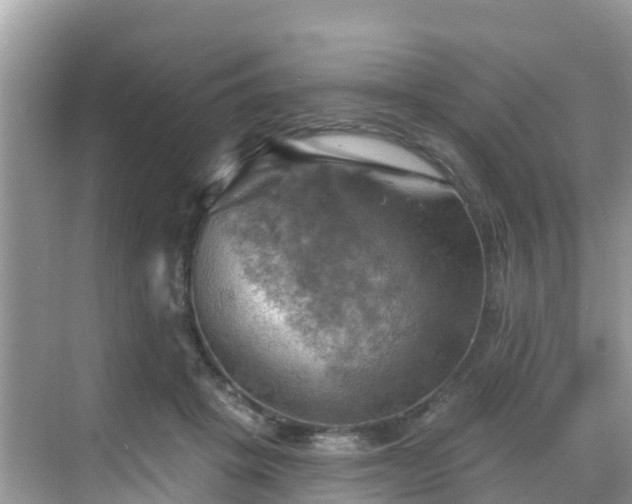 X0000068820457200605081150