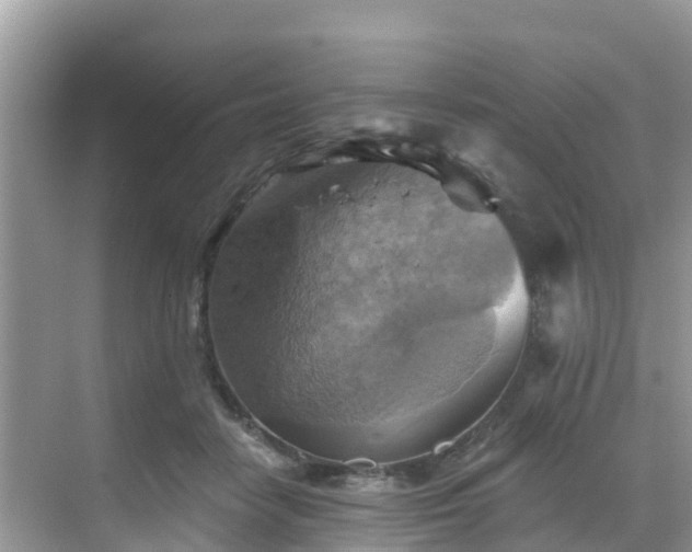 X0000068820458200605081150