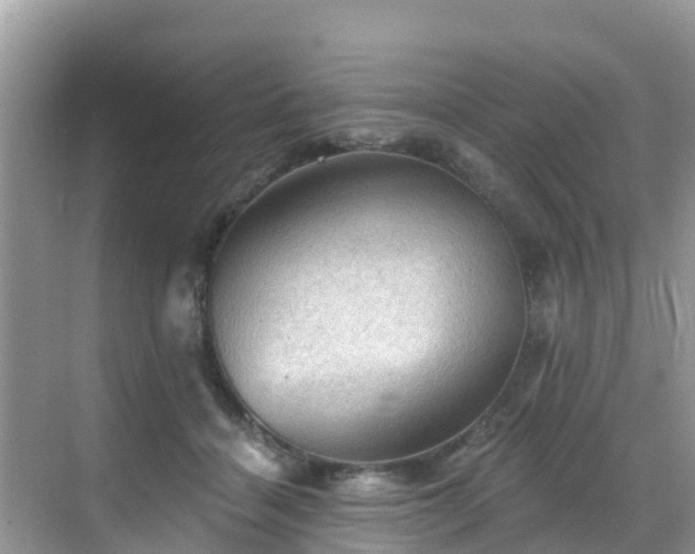 X0000068820460200605081150