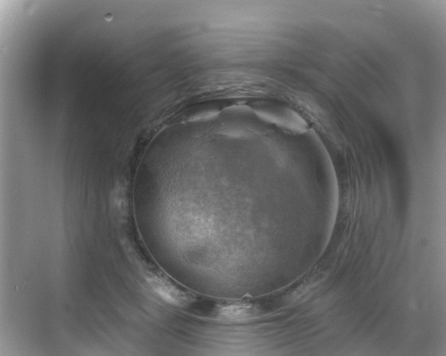 X0000068820461200605081150