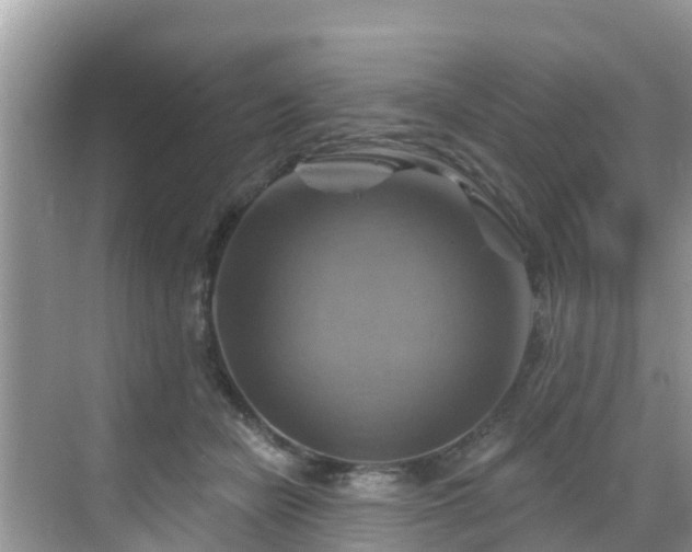 X0000068820462200605081150