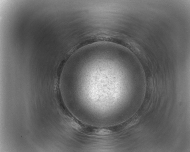 X0000068820463200605081150