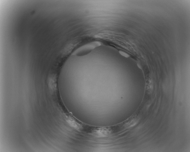 X0000068820466200605081150