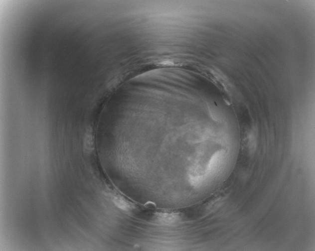 X0000068820469200605081150