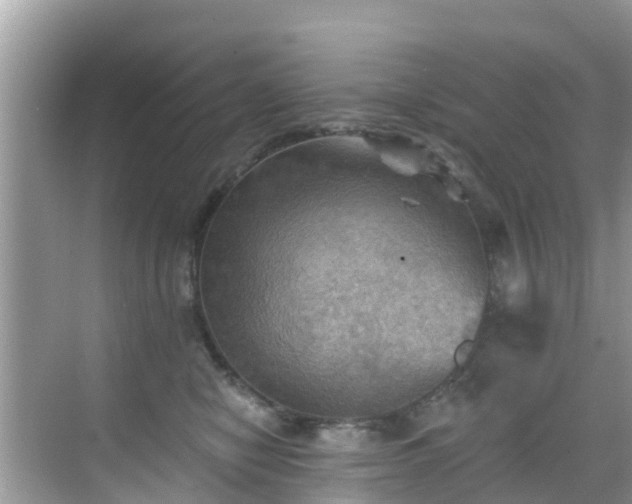 X0000068820470200605081150