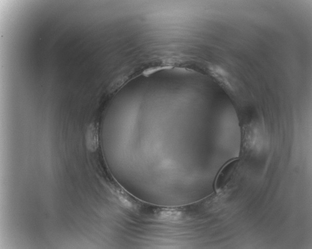 X0000068820471200605081150