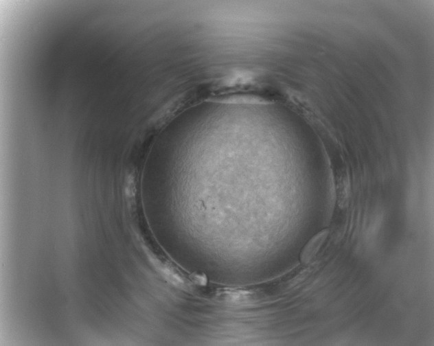 X0000068820472200605081150