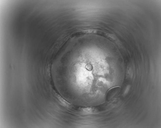 X0000068820473200605081150