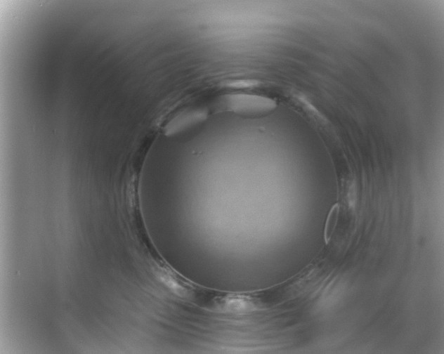 X0000068820475200605081150