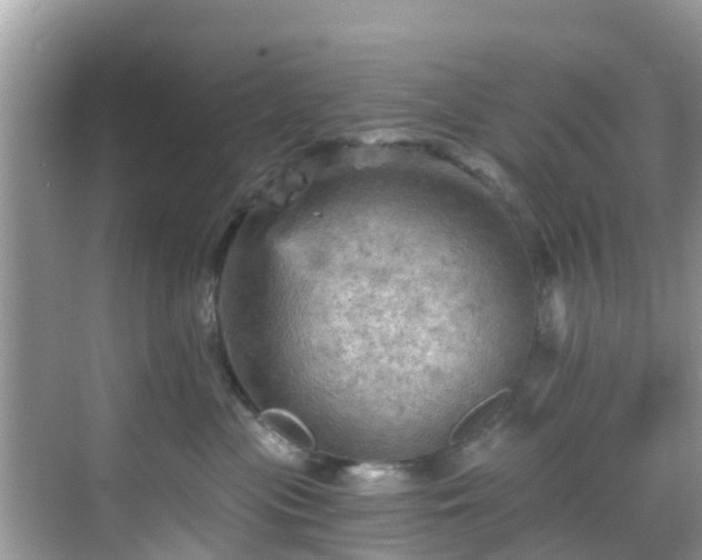 X0000068820477200605081150