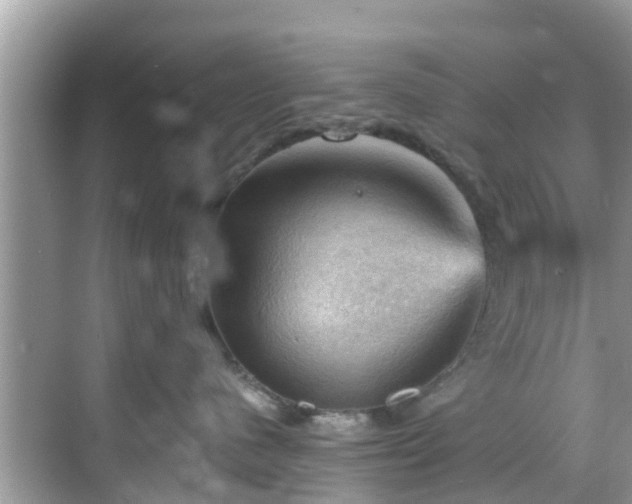 X0000068820480200605081150