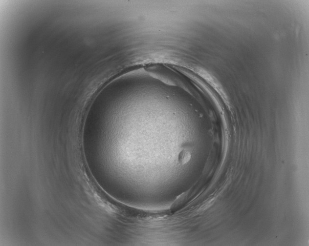 X0000068820481200605081149