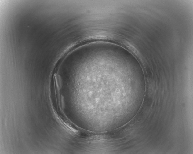 X0000068820482200605081149