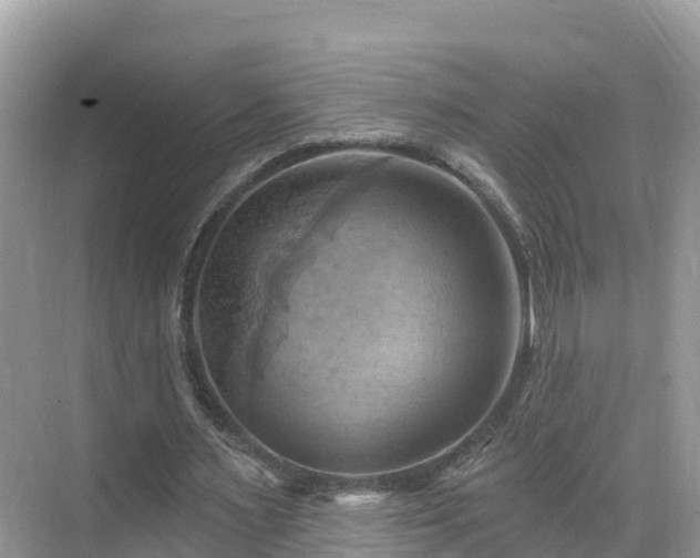 X0000068820483200605081149