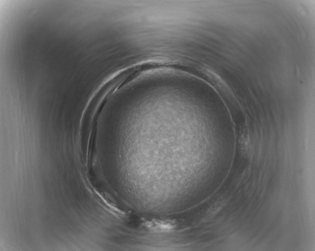 X0000068820484200605081149