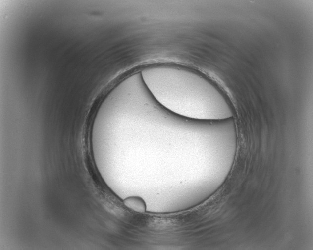 X0000068820487200605081149