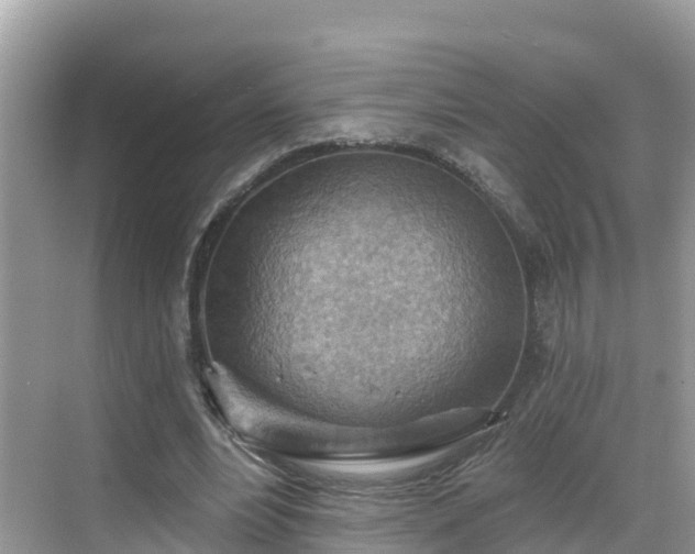 X0000068820488200605081149