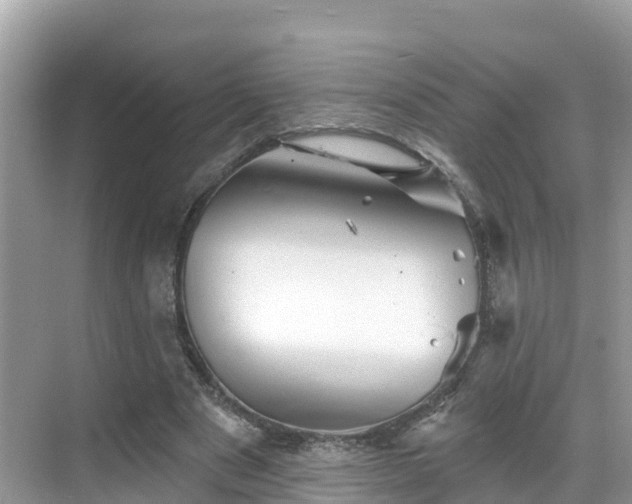 X0000068820489200605081149