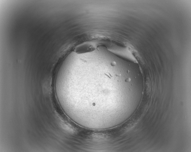 X0000068820490200605081149