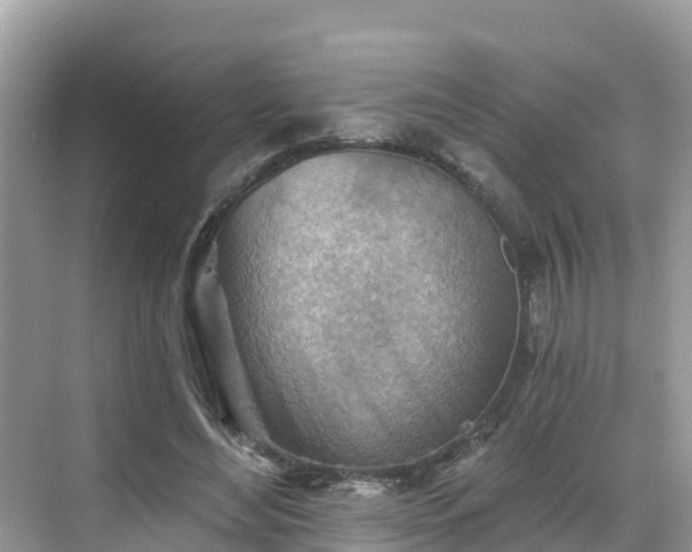 X0000068820492200605081149