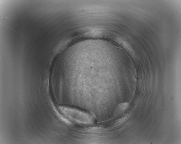 X0000068820493200605081149