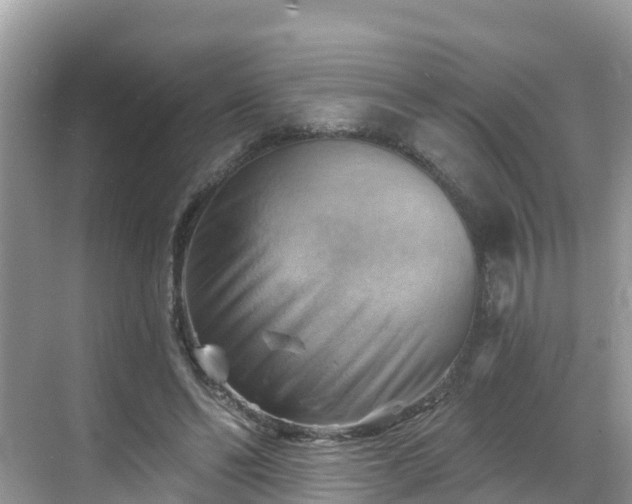 X0000068820494200605081149