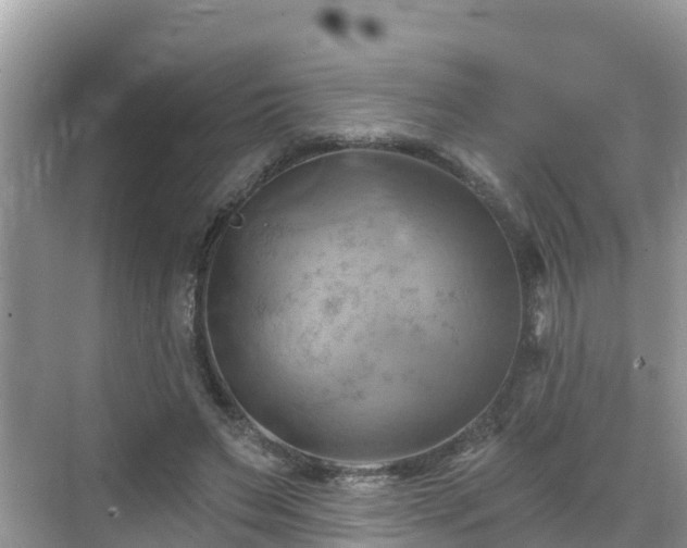 X0000068820495200605081149