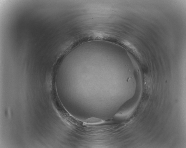 X0000068820496200605081149