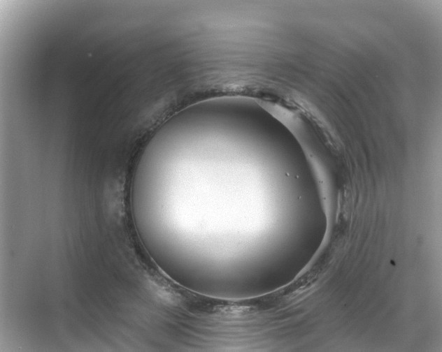 X0000068820497200605081149