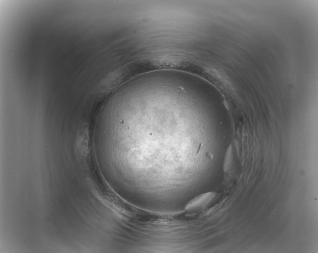 X0000068820498200605081149