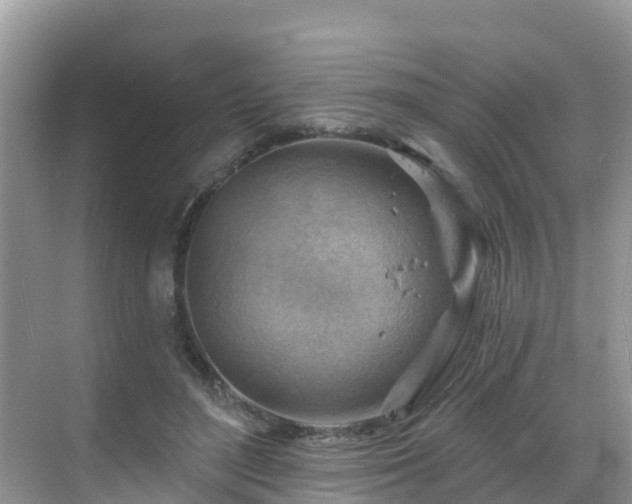 X0000068820500200605081149