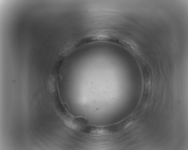 X0000068820503200605081149