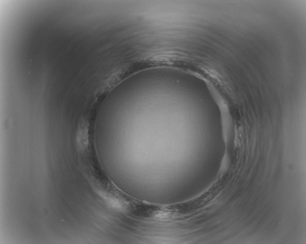 X0000068820504200605081149