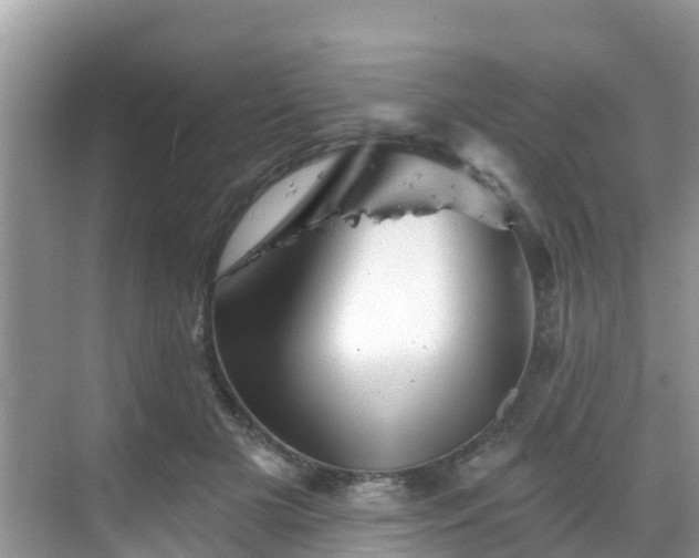 X0000068820505200605081149