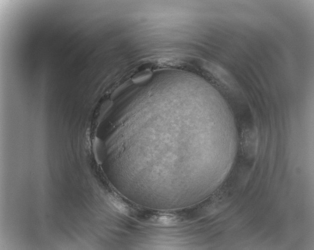 X0000068820506200605081149