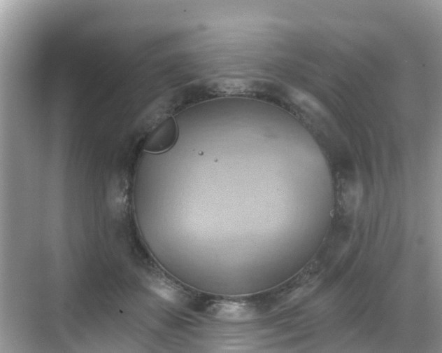 X0000068820507200605081149