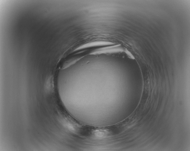 X0000068820508200605081149