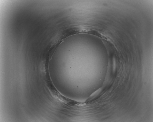 X0000068820512200605081149