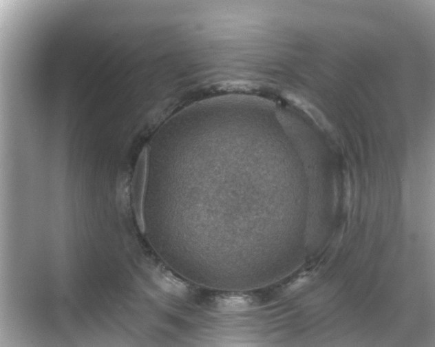 X0000068820513200605081149